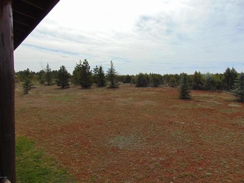 2287 Bison Ranch Trl, Overgaard, AZ 85933 photo 50