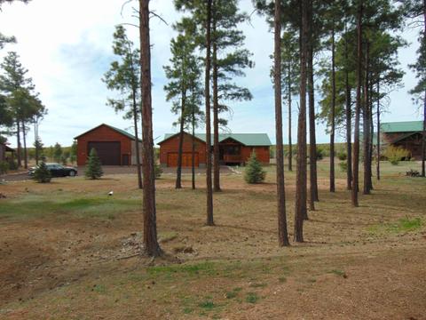 2287 Bison Ranch Trl, Overgaard, AZ 85933 photo 7