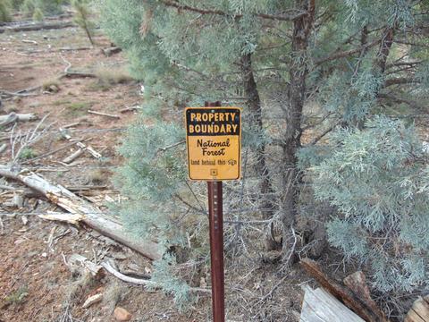 2287 Bison Ranch Trl, Overgaard, AZ 85933 photo 1