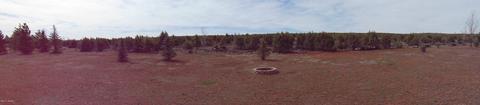2287 Bison Ranch Trl, Overgaard, AZ 85933 photo 51