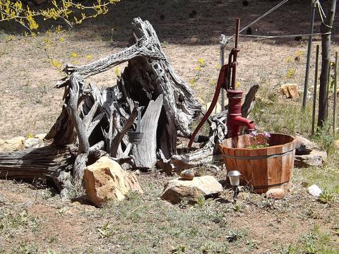 1982 Christmas Pine Cir, Overgaard, AZ 85933 photo 23