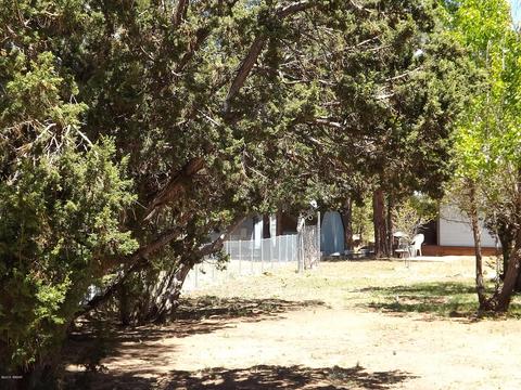 1982 Christmas Pine Cir, Overgaard, AZ 85933 photo 20