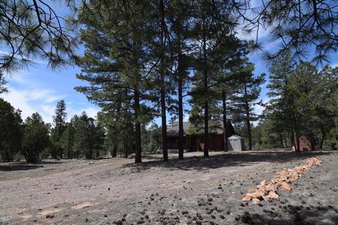2836 Markham Rd, Overgaard, AZ 85933 photo 19