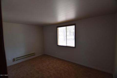 2836 Markham Rd, Overgaard, AZ 85933 photo 13