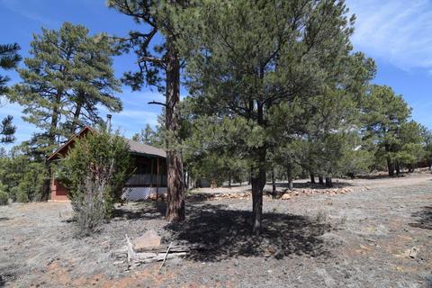 2836 Markham Rd, Overgaard, AZ 85933 photo 21