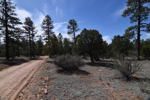 2836 Markham Rd, Overgaard, AZ 85933 photo 17