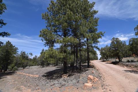 2836 Markham Rd, Overgaard, AZ 85933 photo 18
