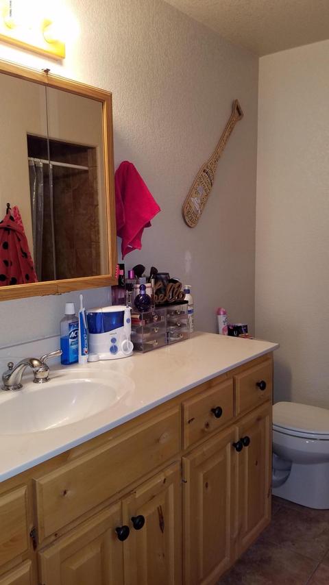 148 N Divot Dr, Eagar, AZ 85925 photo 21