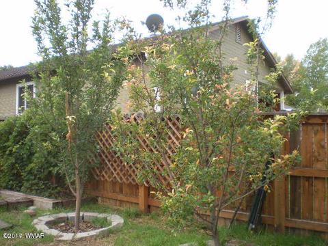 330 E 7th St, Eagar, AZ 85925 photo 36