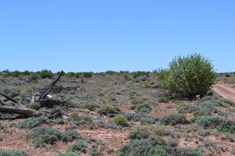 4137 Kohl Rd, Snowflake, AZ 85937 photo 16