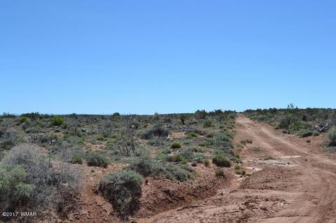 4137 Kohl Rd, Snowflake, AZ 85937 photo 5