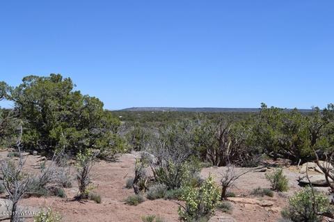 4137 Kohl Rd, Snowflake, AZ 85937 photo 8