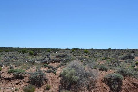 4137 Kohl Rd, Snowflake, AZ 85937 photo 6