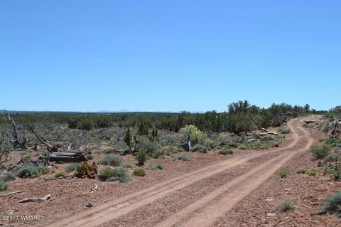 4137 Kohl Rd, Snowflake, AZ 85937 photo 10