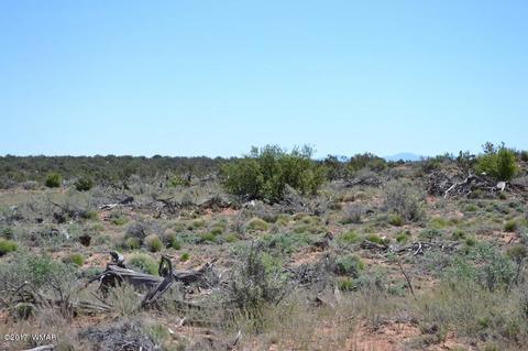 4137 Kohl Rd, Snowflake, AZ 85937 photo 15