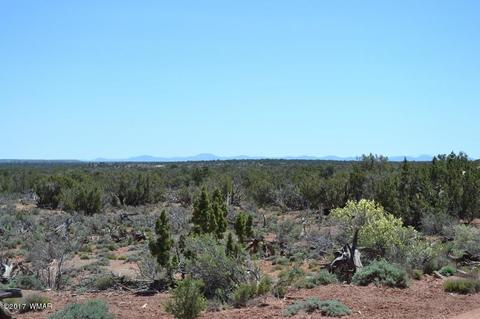 4137 Kohl Rd, Snowflake, AZ 85937 photo 11