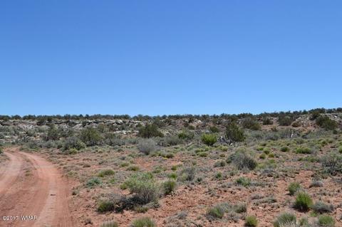 4137 Kohl Rd, Snowflake, AZ 85937 photo 3