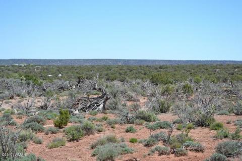 4137 Kohl Rd, Snowflake, AZ 85937 photo 13