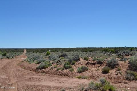 4137 Kohl Rd, Snowflake, AZ 85937 photo 4