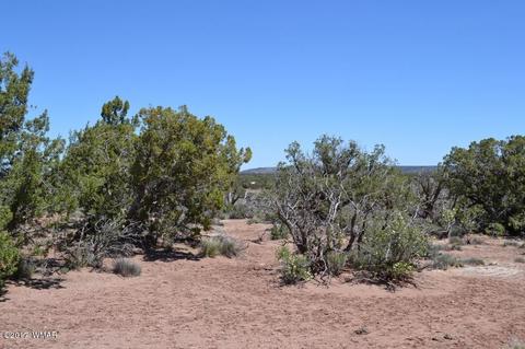 4137 Kohl Rd, Snowflake, AZ 85937 photo 9