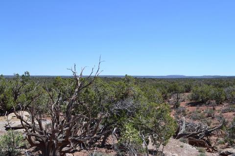 4137 Kohl Rd, Snowflake, AZ 85937 photo 7