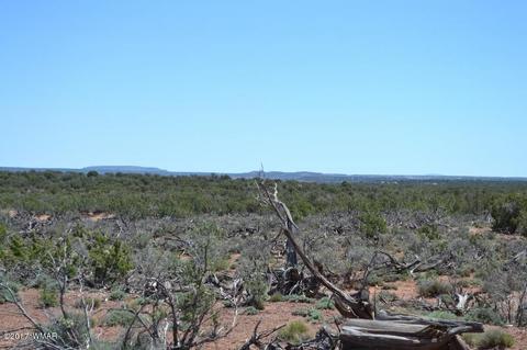 4137 Kohl Rd, Snowflake, AZ 85937 photo 12