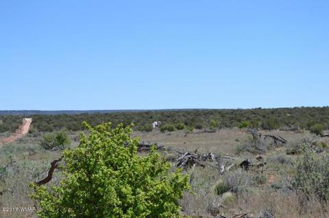 4137 Kohl Rd, Snowflake, AZ 85937 photo 14