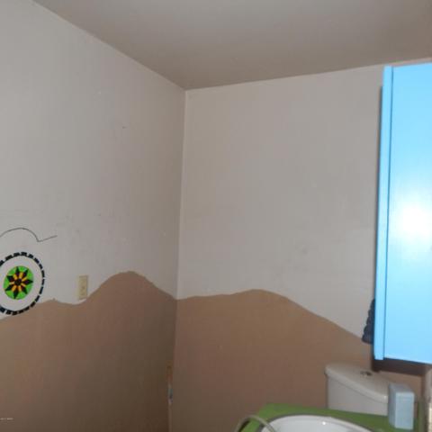 104 S Sheldon Ave, Springerville, AZ 85938 photo 6