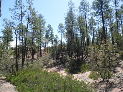 3109 E Game Trial, Payson, AZ 85541 photo 3