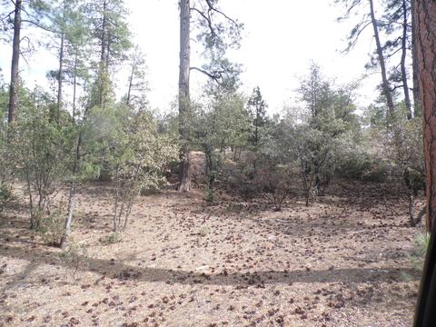 3109 E Game Trial, Payson, AZ 85541 photo 9