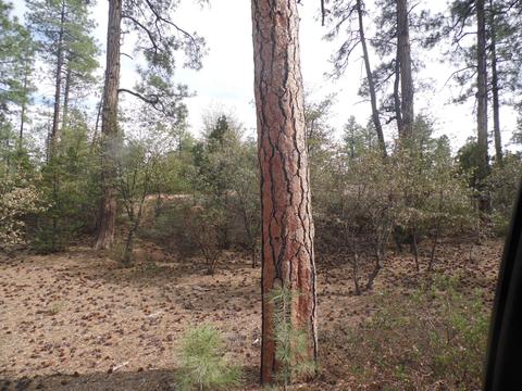 3109 E Game Trial, Payson, AZ 85541 photo 8