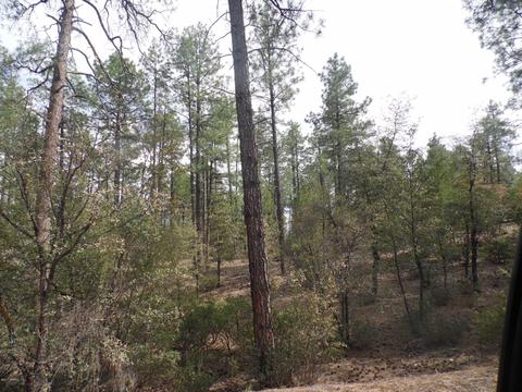 3109 E Game Trial, Payson, AZ 85541 photo 10