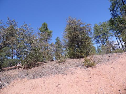 3109 E Game Trial, Payson, AZ 85541 photo 2