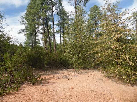 3109 E Game Trial, Payson, AZ 85541 photo 11