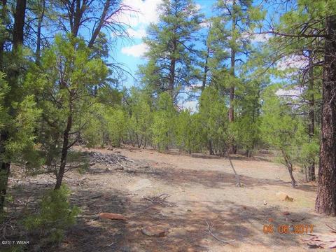2771 Westfork Ln, Overgaard, AZ 85933 photo 2