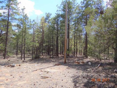 2771 Westfork Ln, Overgaard, AZ 85933 photo 17
