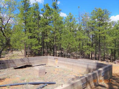 2771 Westfork Ln, Overgaard, AZ 85933 photo 16