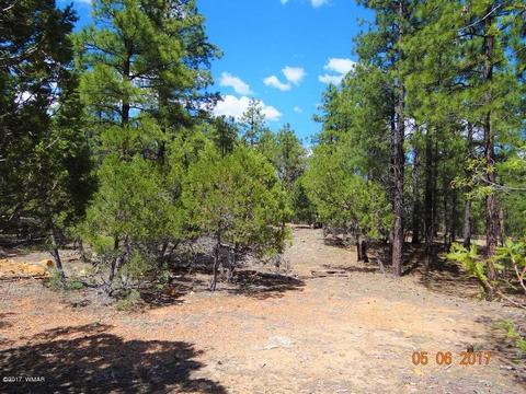 2771 Westfork Ln, Overgaard, AZ 85933 photo 8