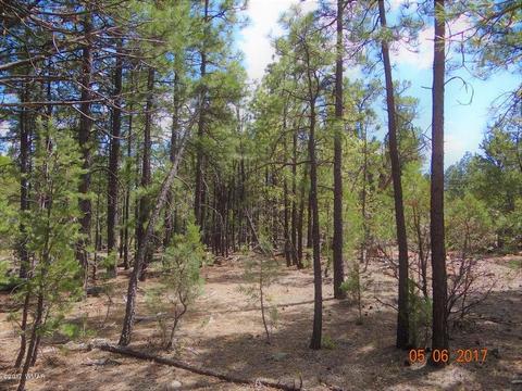 2771 Westfork Ln, Overgaard, AZ 85933 photo 1