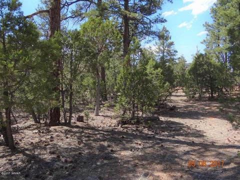 2771 Westfork Ln, Overgaard, AZ 85933 photo 20
