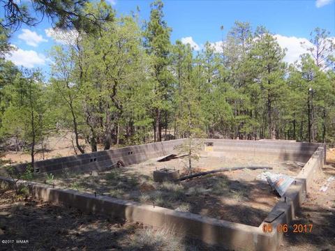 2771 Westfork Ln, Overgaard, AZ 85933 photo 18