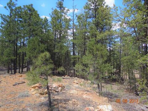 2771 Westfork Ln, Overgaard, AZ 85933 photo 11