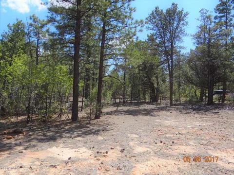 2771 Westfork Ln, Overgaard, AZ 85933 photo 19