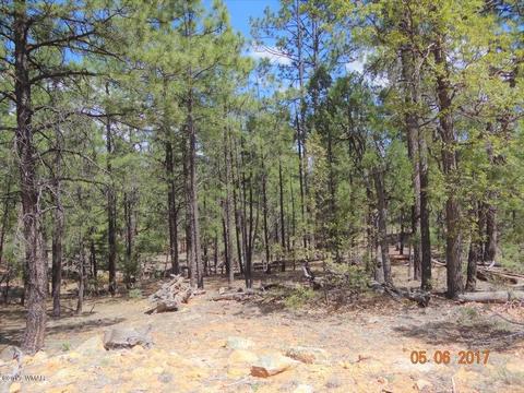 2771 Westfork Ln, Overgaard, AZ 85933 photo 4