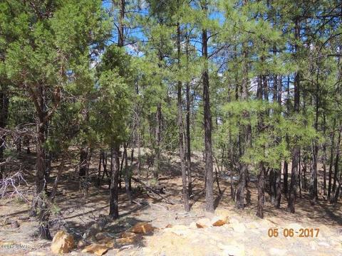 2771 Westfork Ln, Overgaard, AZ 85933 photo 9