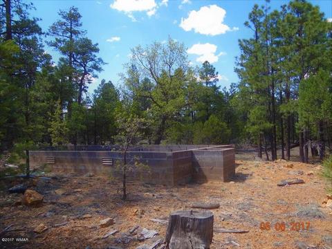 2771 Westfork Ln, Overgaard, AZ 85933 photo 12