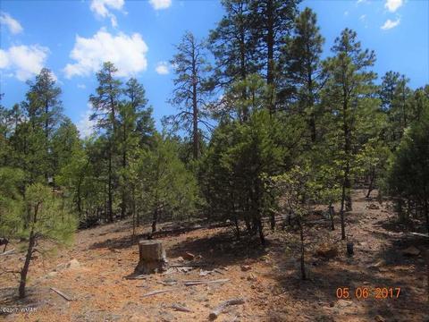 2771 Westfork Ln, Overgaard, AZ 85933 photo 10