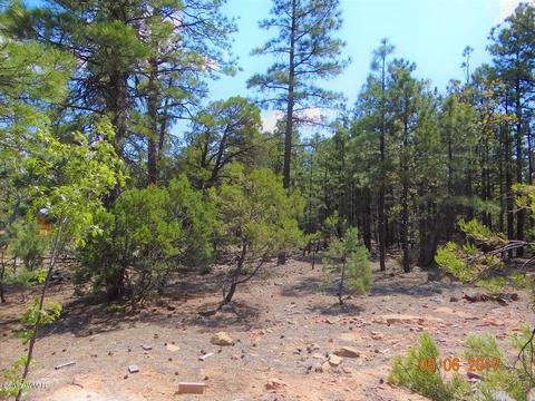2771 Westfork Ln, Overgaard, AZ 85933 photo 14