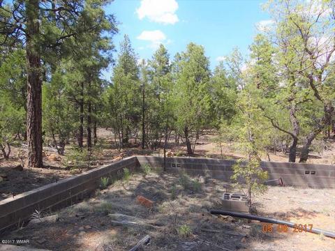 2771 Westfork Ln, Overgaard, AZ 85933 photo 15