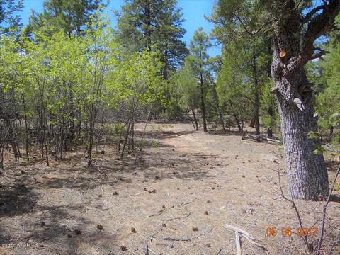 2771 Westfork Ln, Overgaard, AZ 85933 photo 3